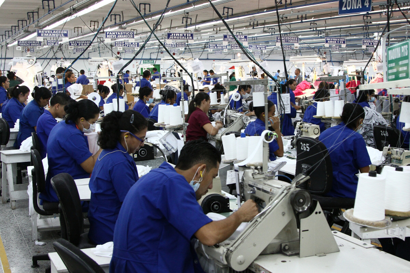 13 sectores productivos superaron las exportaciones este 2021, en comparación con las del año anterior 13-sectores-productivos-superaron-las-exportaciones-este-2021-en-comparacion-con-las-del-ano-anterior